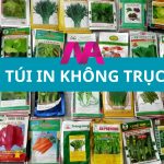 Túi in không trục