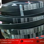 Dây curoa Trung Quốc