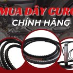 dây curoa1