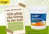 Kingcatpaint mang đến giải pháp cho tường bị ẩm mốc, giữ không gian luôn khô thoáng