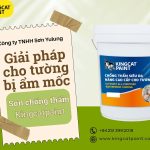 e450e93bf8bb73e52aaa