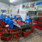 Nem Chua và Giò Lụa truyền thống tại sự kiện Chuyển đổi số Hà Tĩnh 3