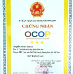 Nem Chua và Giò Lụa truyền thống tại sự kiện Chuyển đổi số Hà Tĩnh 6