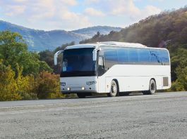 Convenient Ha Giang Bus From Hanoi With Strawberry Ha Giang Loop