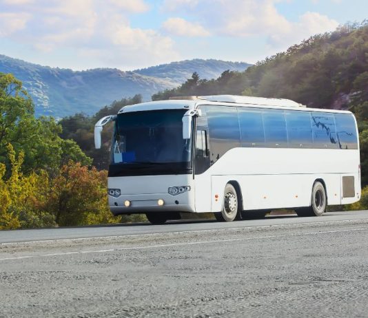 Convenient Ha Giang Bus From Hanoi With Strawberry Ha Giang Loop