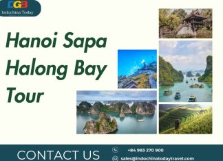 Hanoi Sapa Halong Bay Tour: Experience Vietnam’s Iconic Destinations
