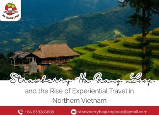 Strawberry Ha Giang Loop and the Rise of Experiential Travel in Northern Vietnam